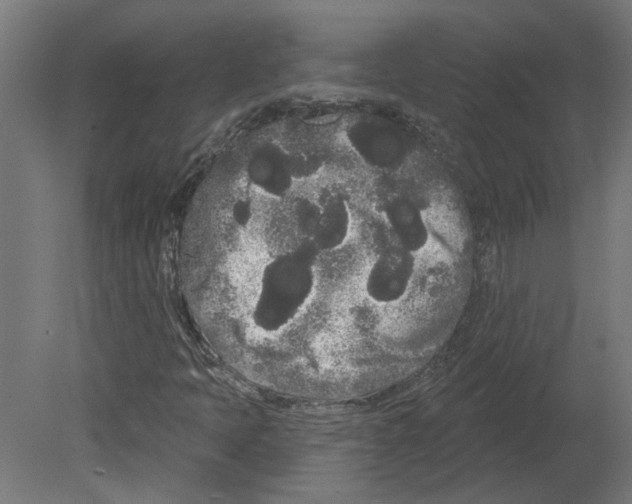 X0000080671397200701121620