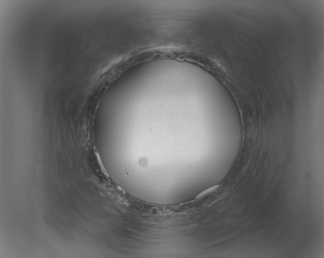 X0000080671398200701121620