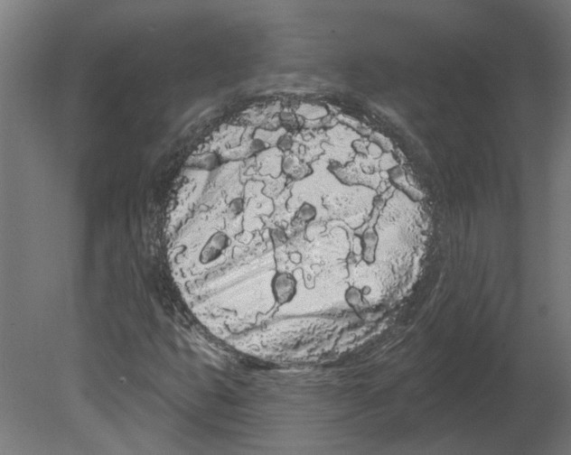 X0000080671399200701121620