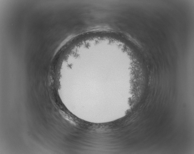 X0000080671400200701121620