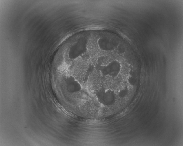 X0000080671401200701121620