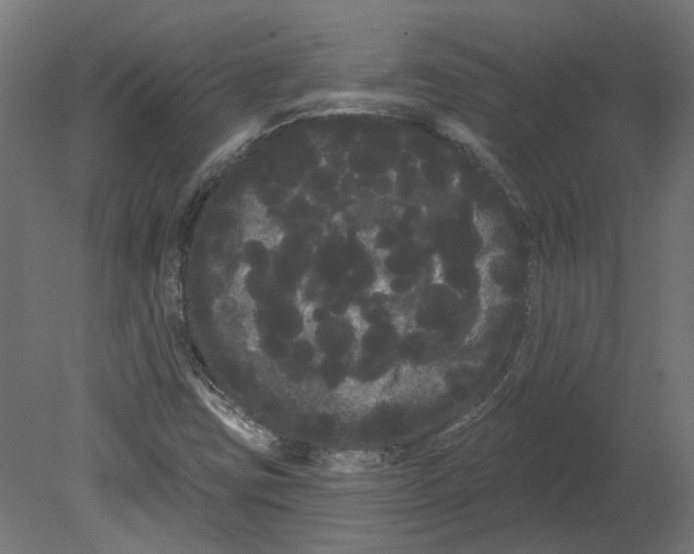 X0000080671403200701121620