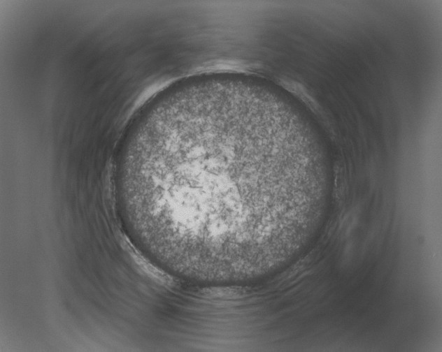 X0000080671404200701121620