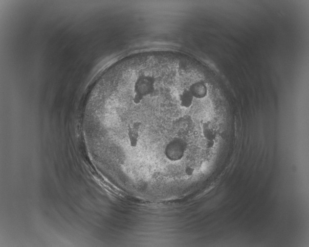 X0000080671405200701121620