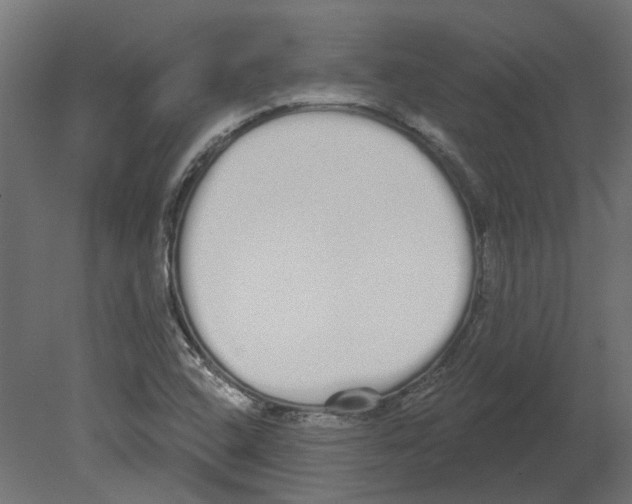 X0000080671408200701121620