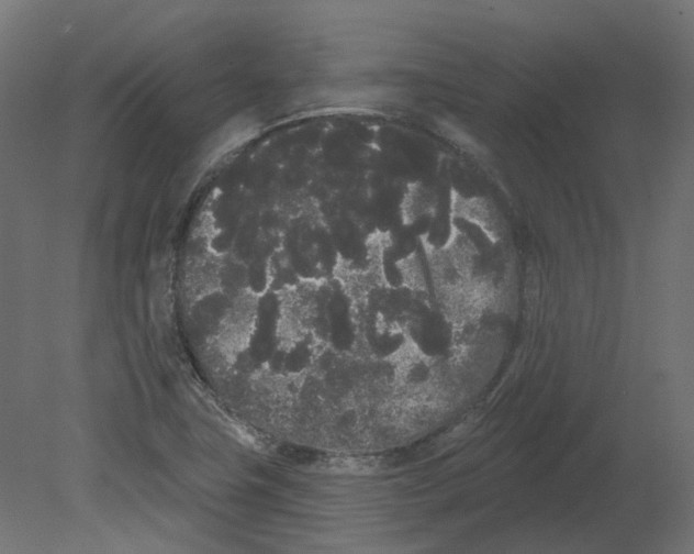 X0000080671411200701121620