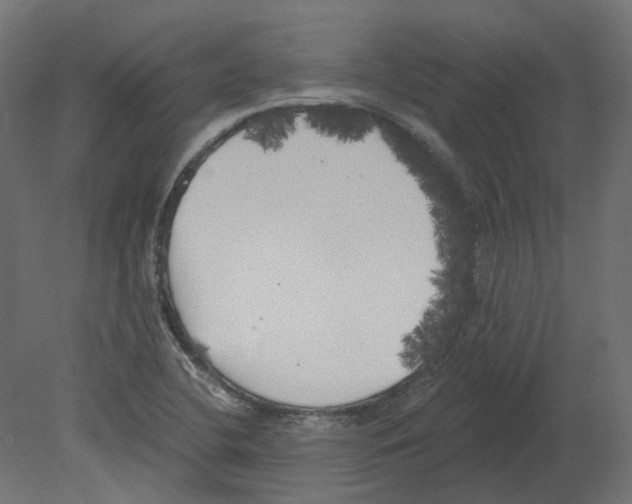 X0000080671412200701121620