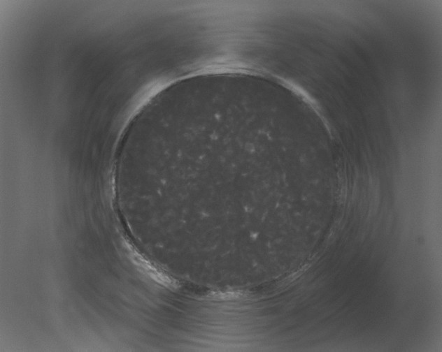 X0000080671415200701121621