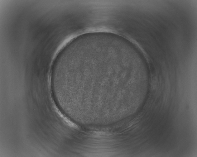 X0000080671416200701121621