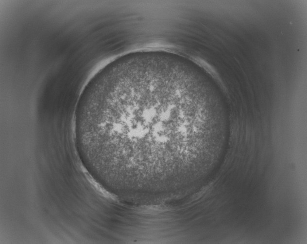 X0000080671420200701121621