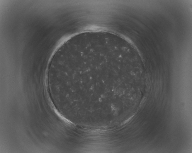 X0000080671421200701121621