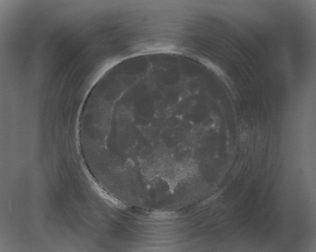 X0000080671423200701121621