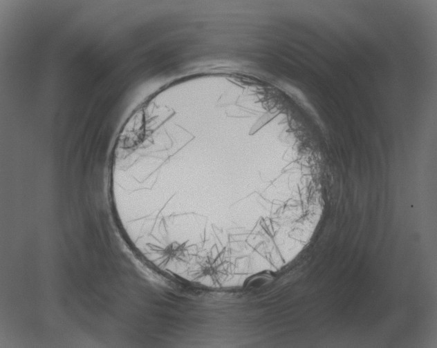 X0000080671424200701121621