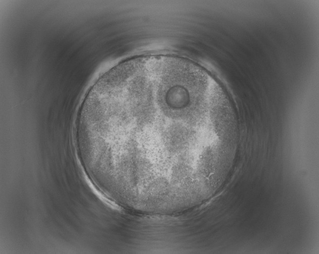 X0000080671429200701121621