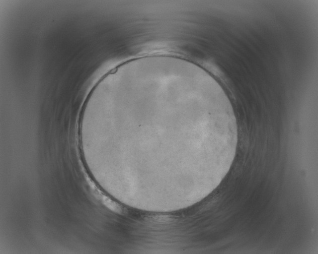 X0000080671431200701121621