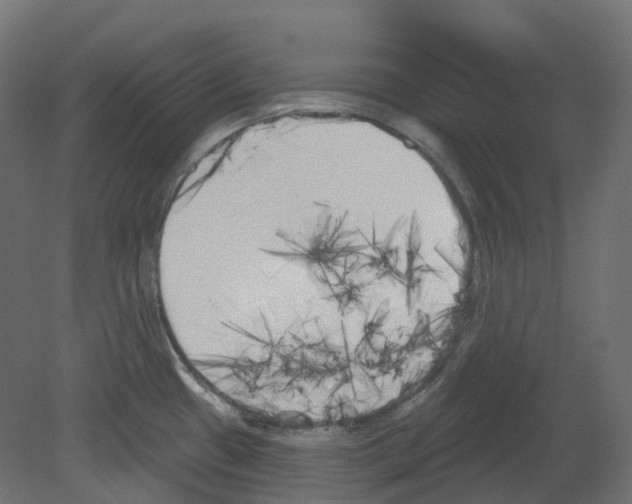 X0000080671433200701121621