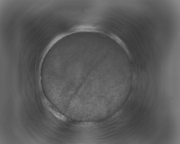 X0000080671435200701121621