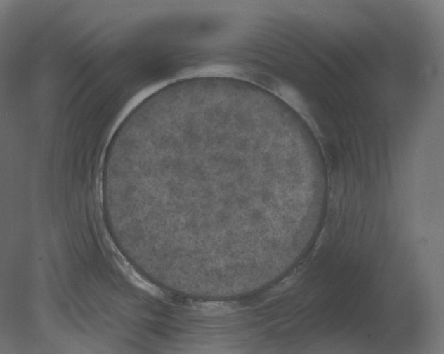 X0000080671436200701121621