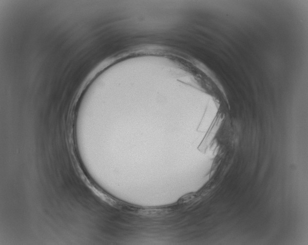 X0000080671437200701121621