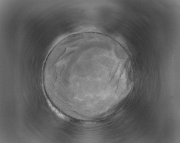 X0000080671439200701121621