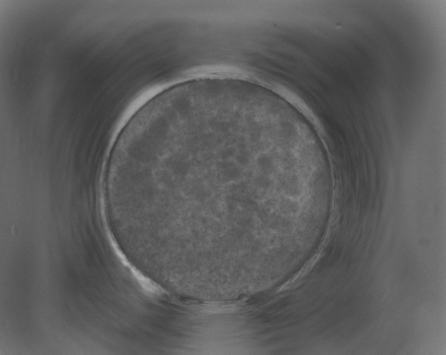 X0000080671440200701121621