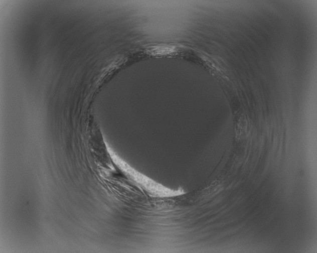 X0000080671441200701121620