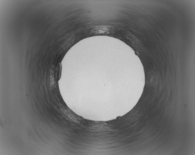 X0000080671442200701121620