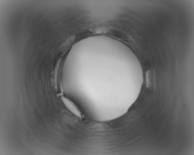 X0000080671443200701121620