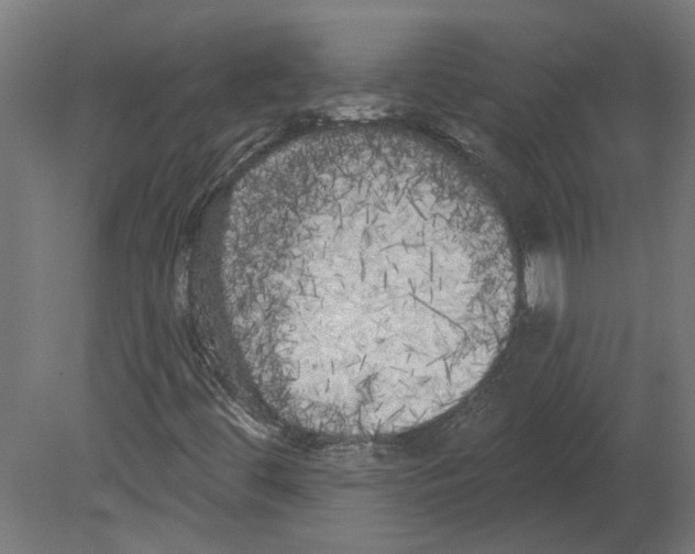 X0000080671444200701121620