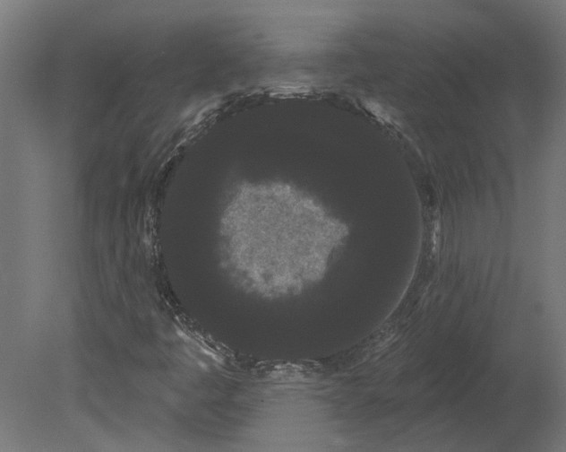 X0000080671445200701121620