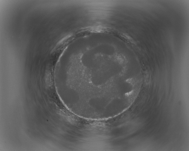 X0000080671446200701121620