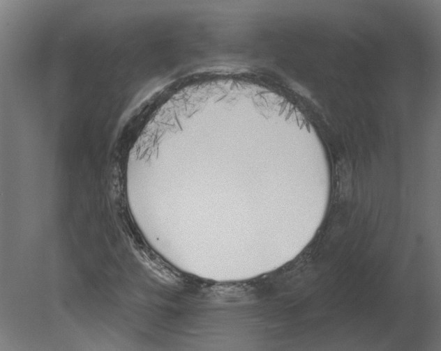 X0000080671448200701121620