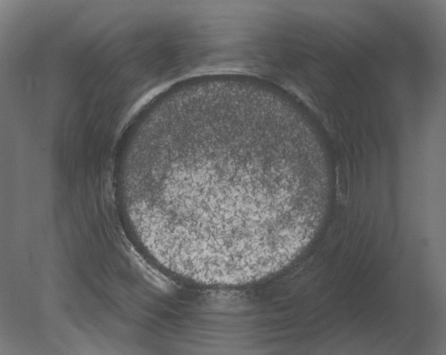 X0000080671452200701121620