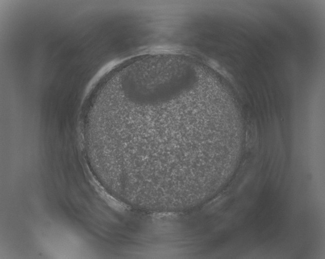 X0000080671454200701121620