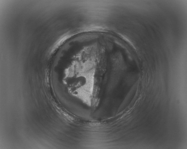 X0000080671455200701121620