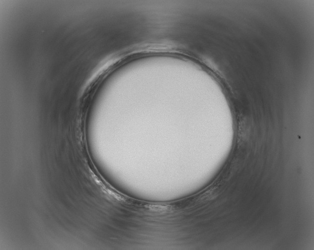 X0000080671456200701121620