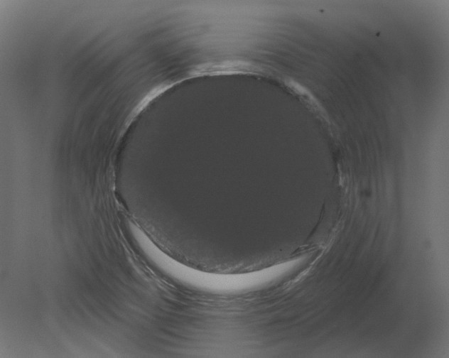 X0000080671457200701121620