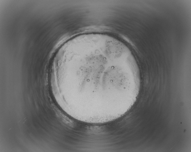 X0000080671459200701121620