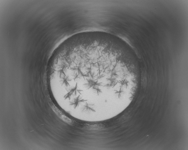 X0000080671460200701121620