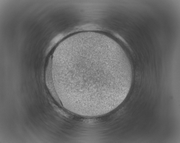 X0000080671461200701121620