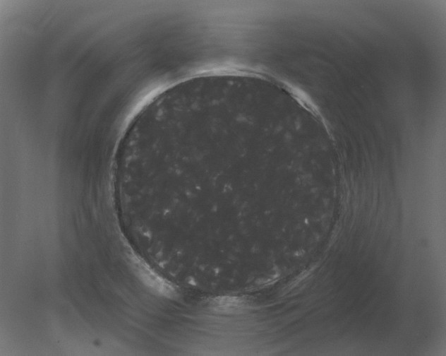 X0000080671463200701121620