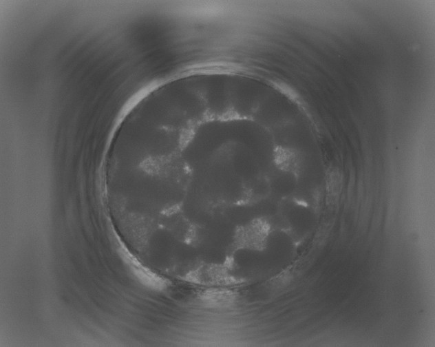 X0000080671466200701121620