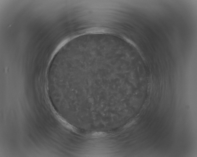 X0000080671467200701121620