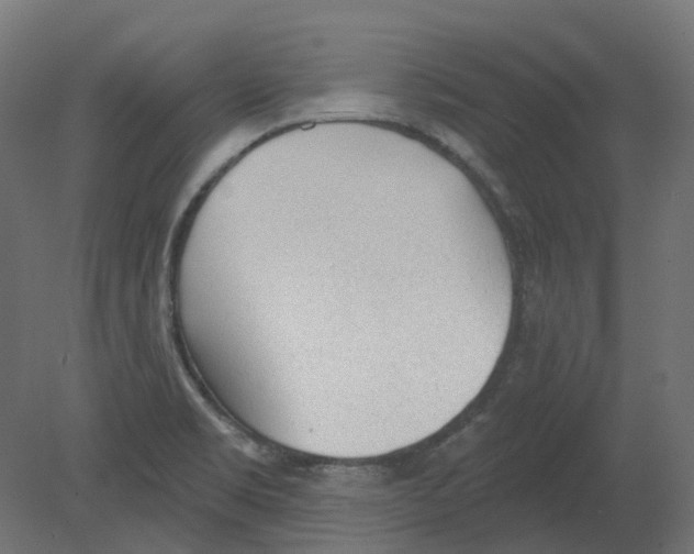 X0000080671469200701121620