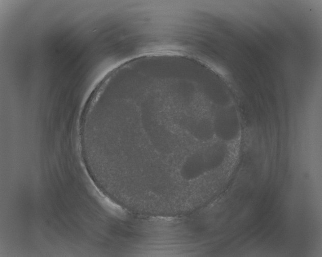 X0000080671470200701121620