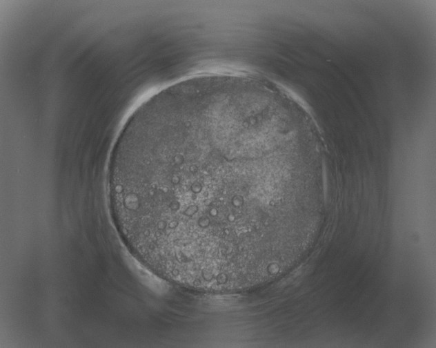 X0000080671471200701121620