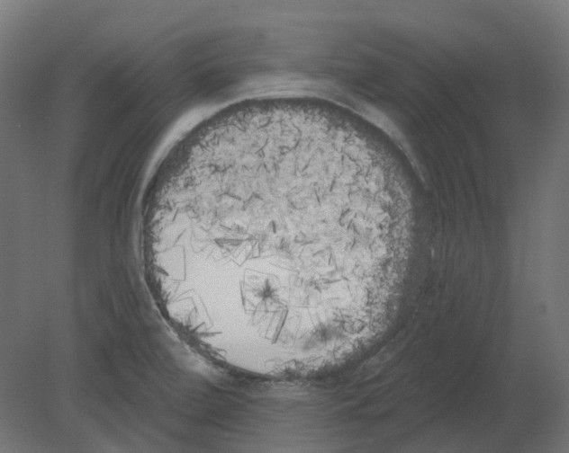 X0000080671472200701121620