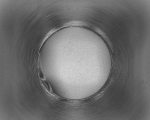 X0000080671473200701121620