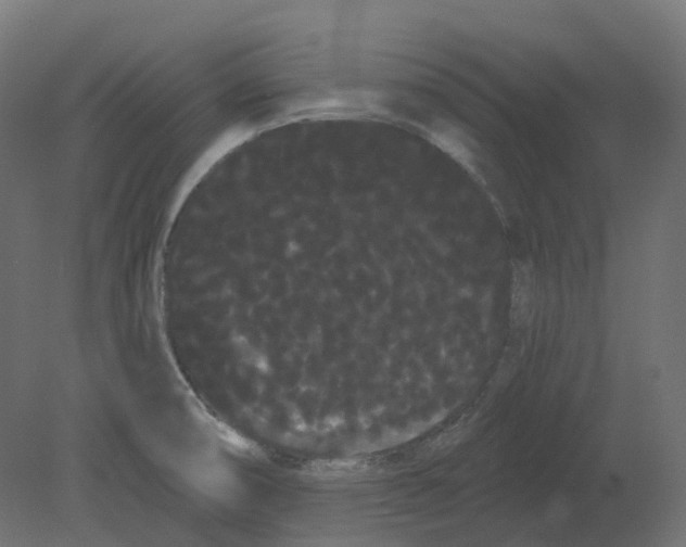 X0000080671474200701121620