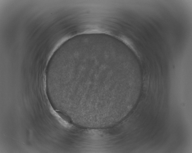 X0000080671476200701121620